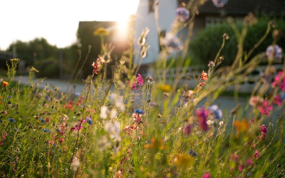 Common roof damage covered by insurance