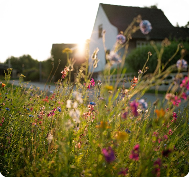 Common roof damage covered by insurance
